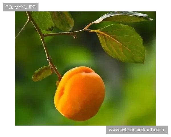 花样年华：100分钟的静默，道尽了20年的无奈，一部让人沉默的经典